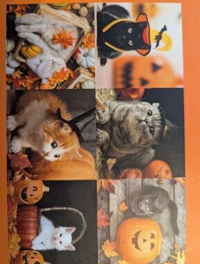 Halloween Cat 1000 Piece Jigsaw Puzzle By Talking Tables